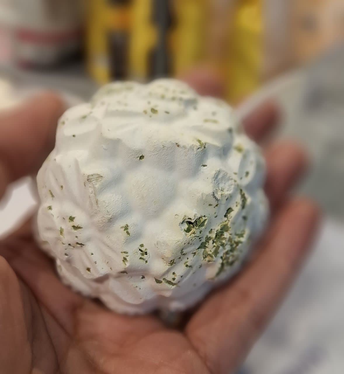 سنگ کلسیم جونده با یونجه کرال
